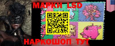 индика Малгобек