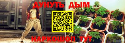 сатива Моздок