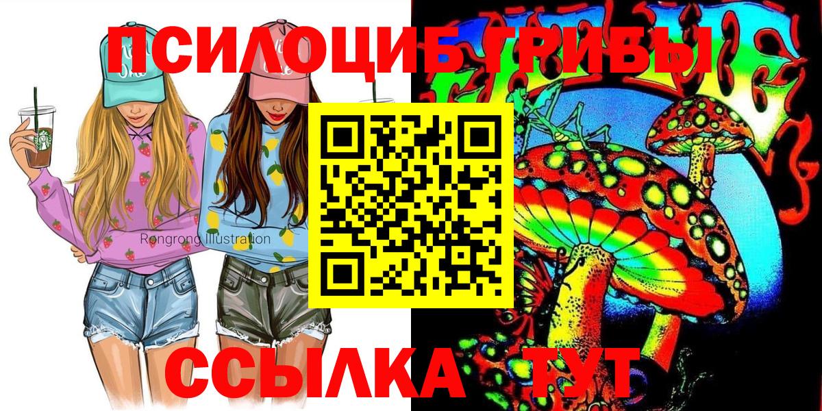Владивосток  Псилоцибиновые грибы Psilocybe  Вход с VPN 