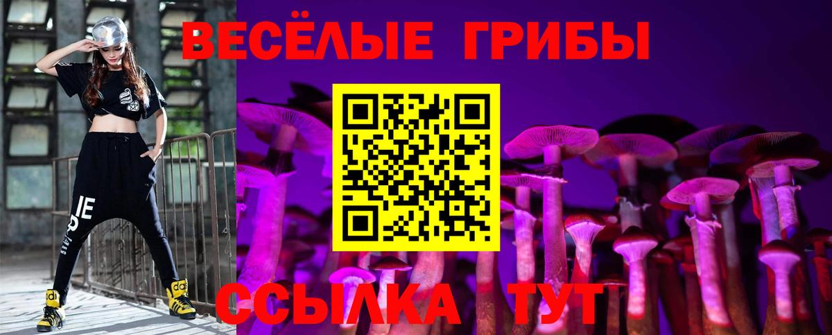 Псилоцибиновые грибы MAGIC MUSHROOMS Владивосток